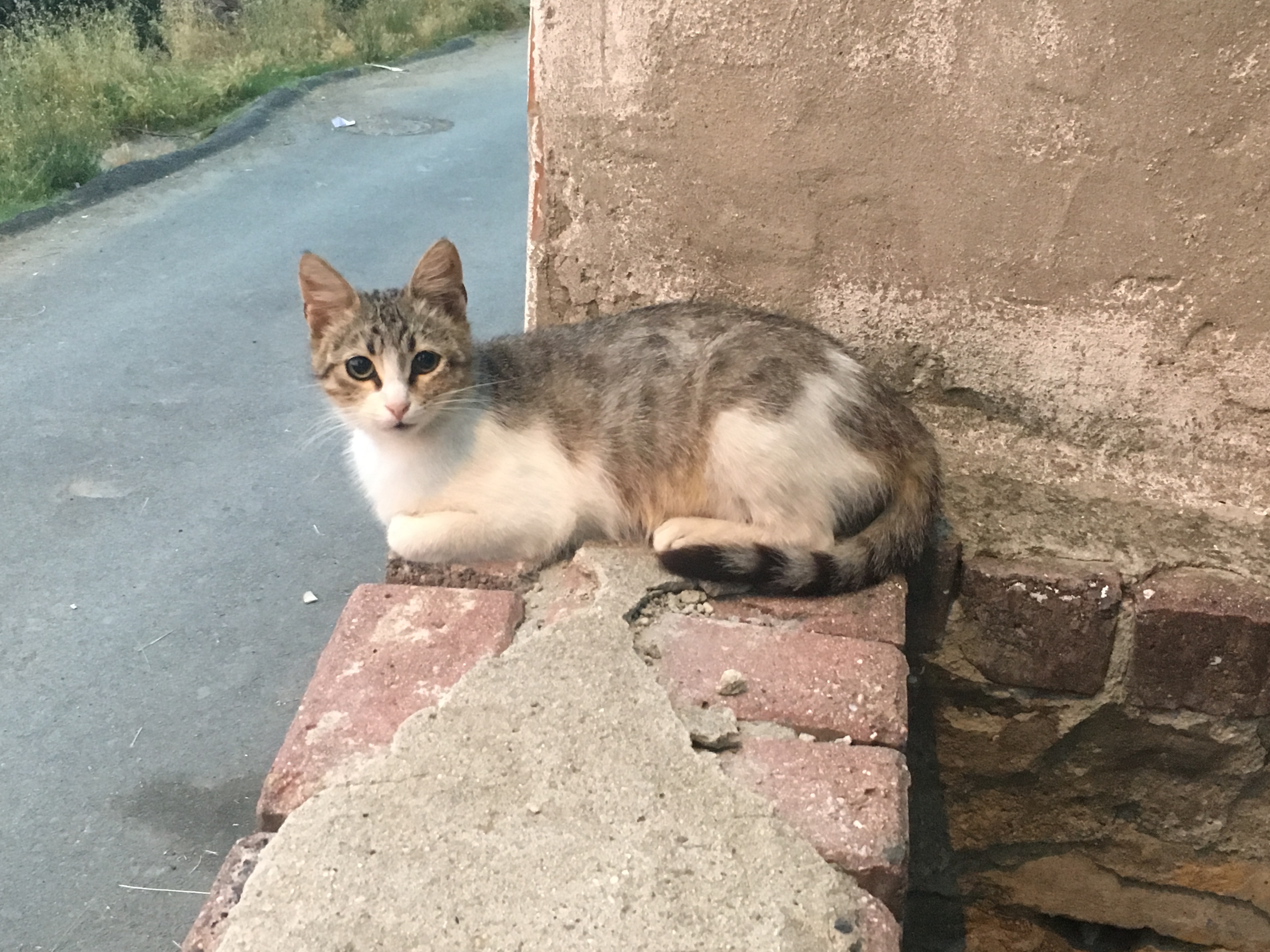 imar gönderi fotoğrafı